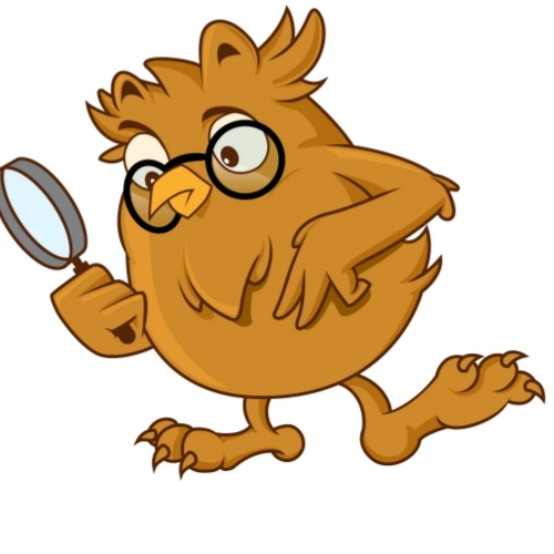 Owl Searching with Magnifying Glass